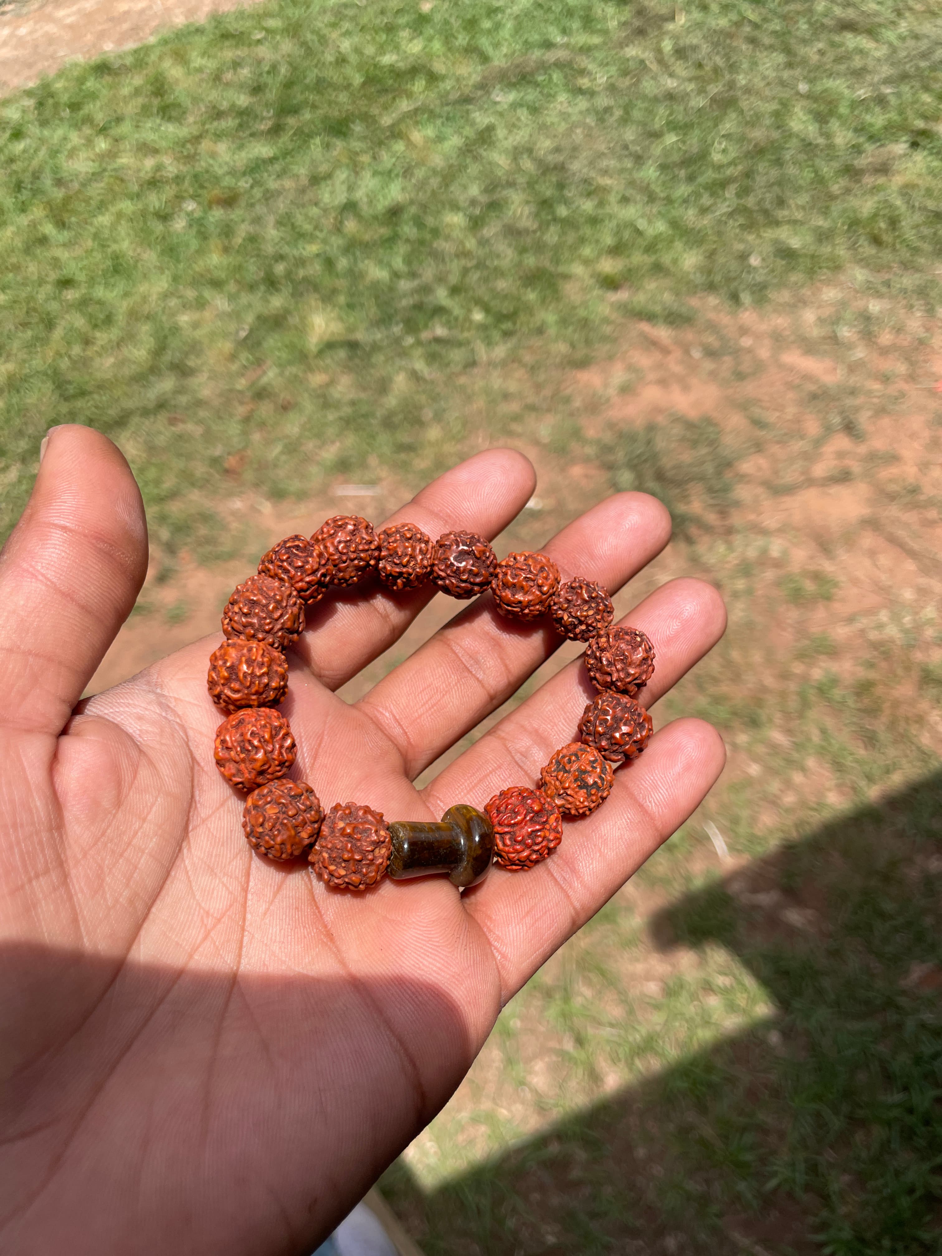 Tiger Eye Mushroom & Rudraksha Bracelet